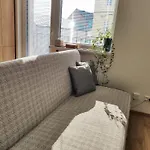 Brand New Place In The Centre Διαμέρισμα Ζιλίνα