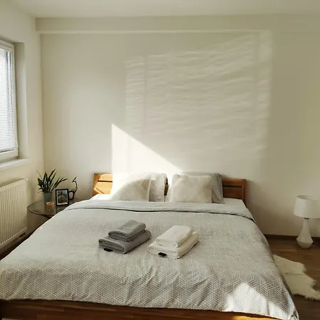 Brand New Place In The Centre Apartment *