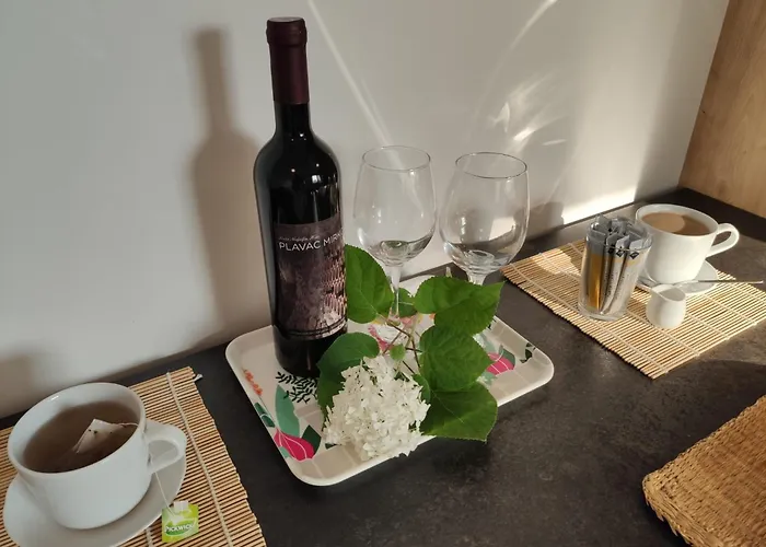 Brand New Place In The Centre * ジリナ